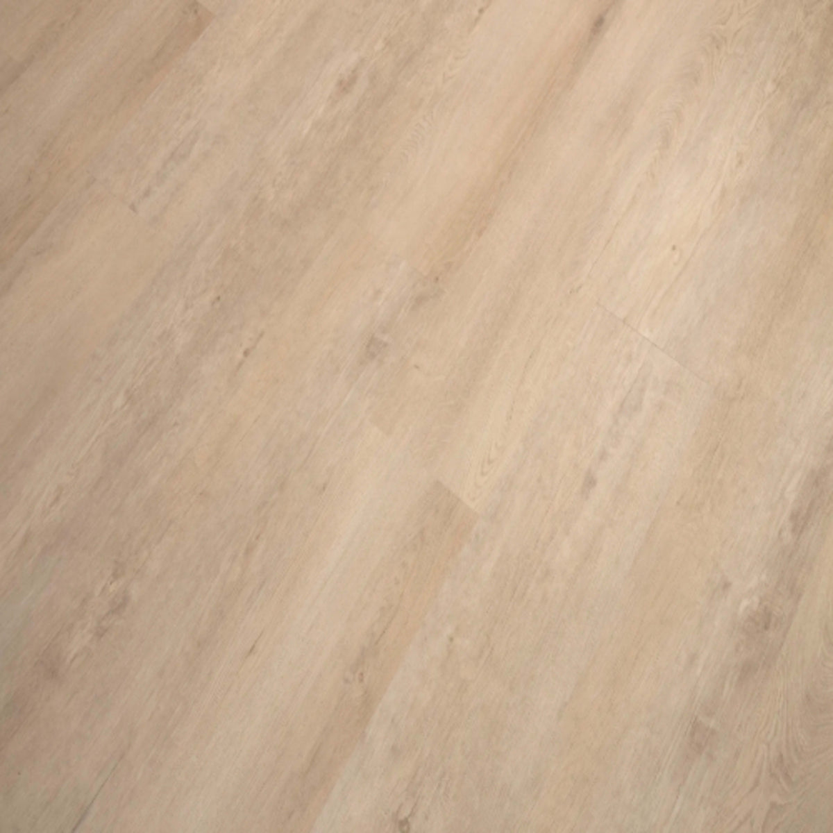 Select XL Collection in Dover Beach Luxury Vinyl