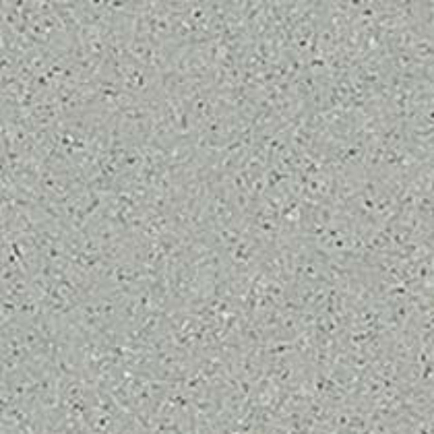 Solid Surface Collection in Brooklyn Concrete Solid Surface