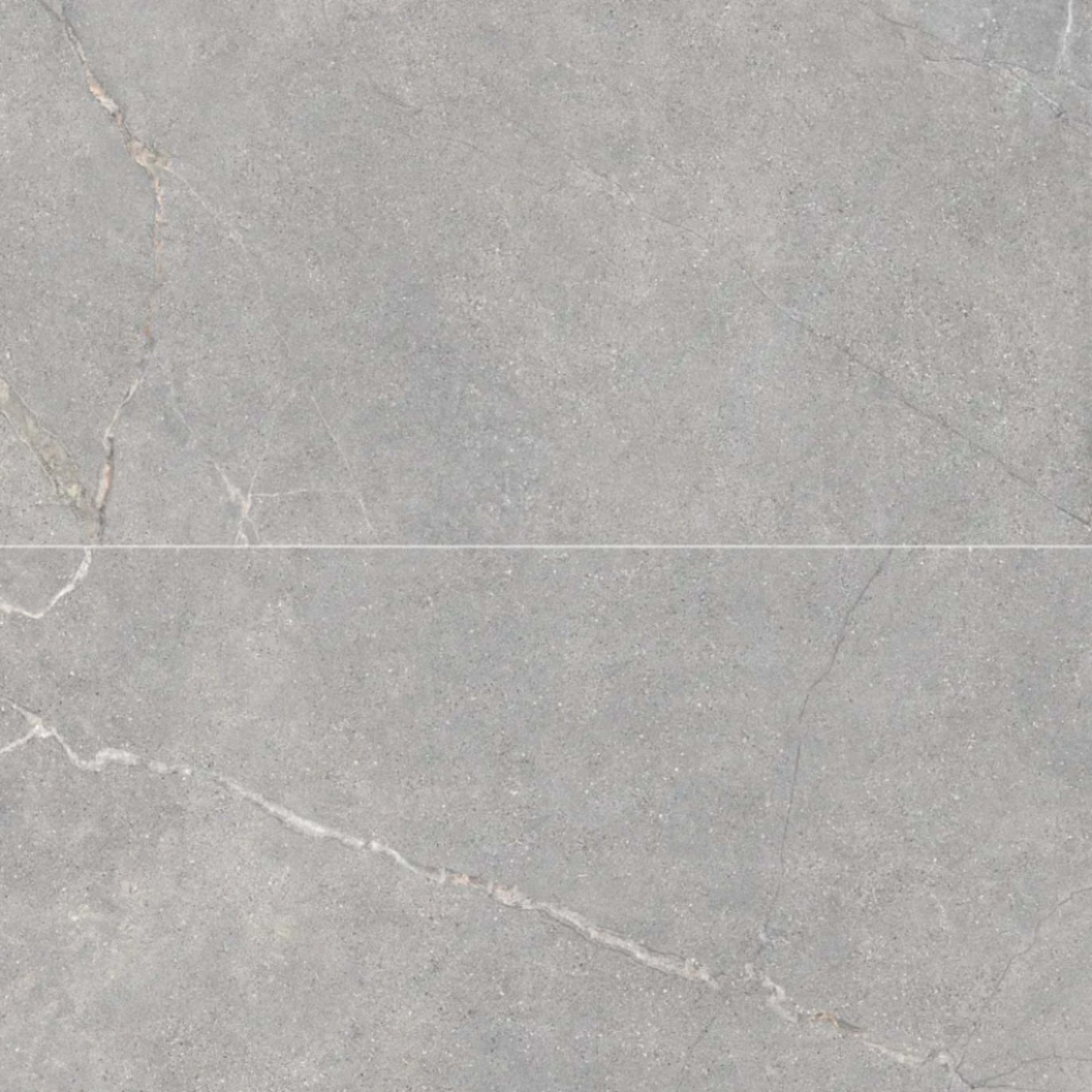 Anthea in Gray 24x48 Tile