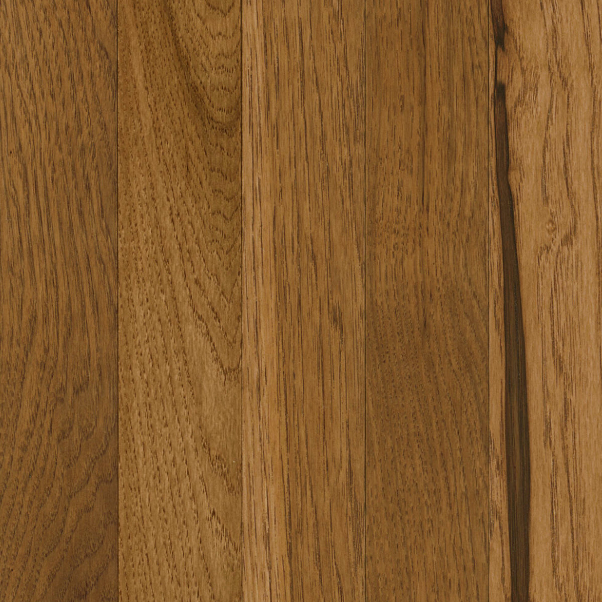 Prime Harvest Hickory Solid in Sweet Tea 3.25" Hardwood