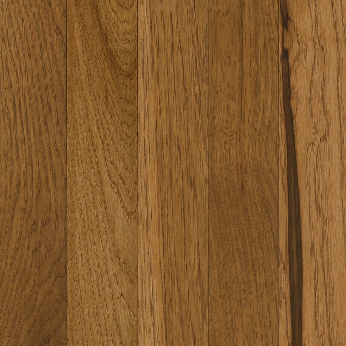 Prime Harvest Hickory Solid in Sweet Tea 5" Hardwood