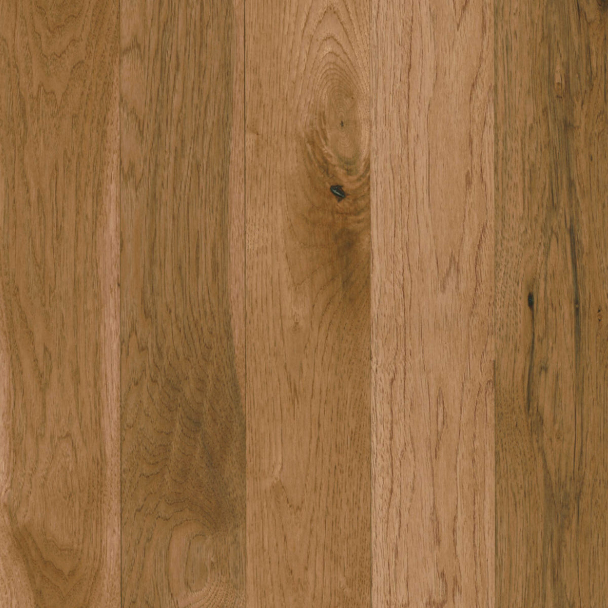 Prime Harvest Hickory Solid in Whisper Harvest 5" Hardwood