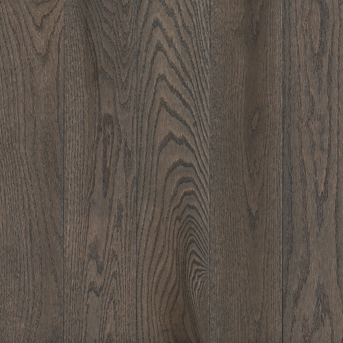 Prime Harvest Red Oak Solid in Oceanside Gray 2.25" Hardwood