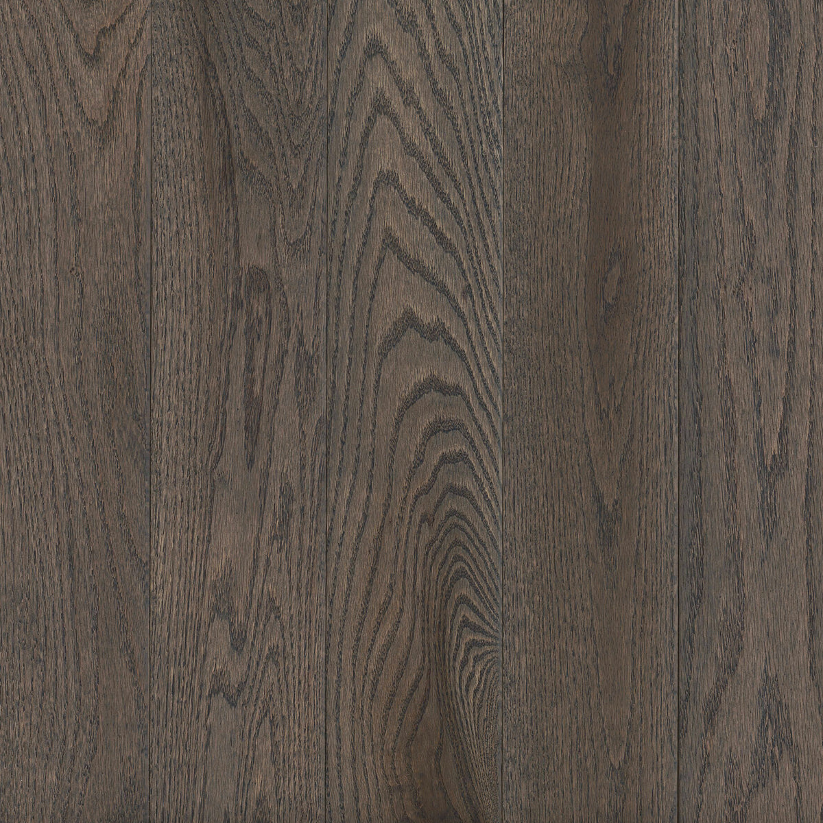 Prime Harvest Red Oak Solid in Oceanside Gray 3.25" - Low Gloss Hardwood