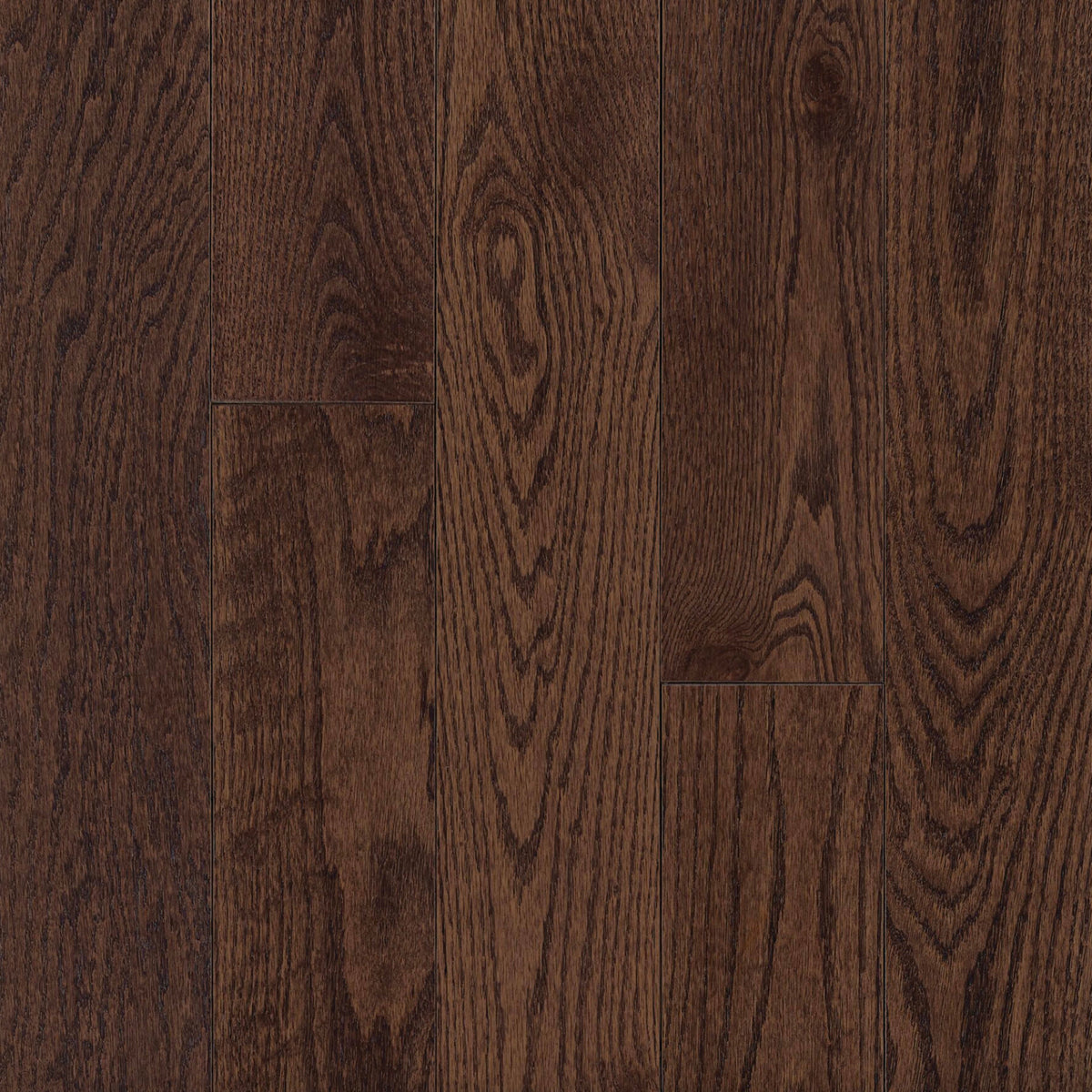 Prime Harvest Red Oak Solid in Cocoa Bean 3.25" - Low Gloss Hardwood