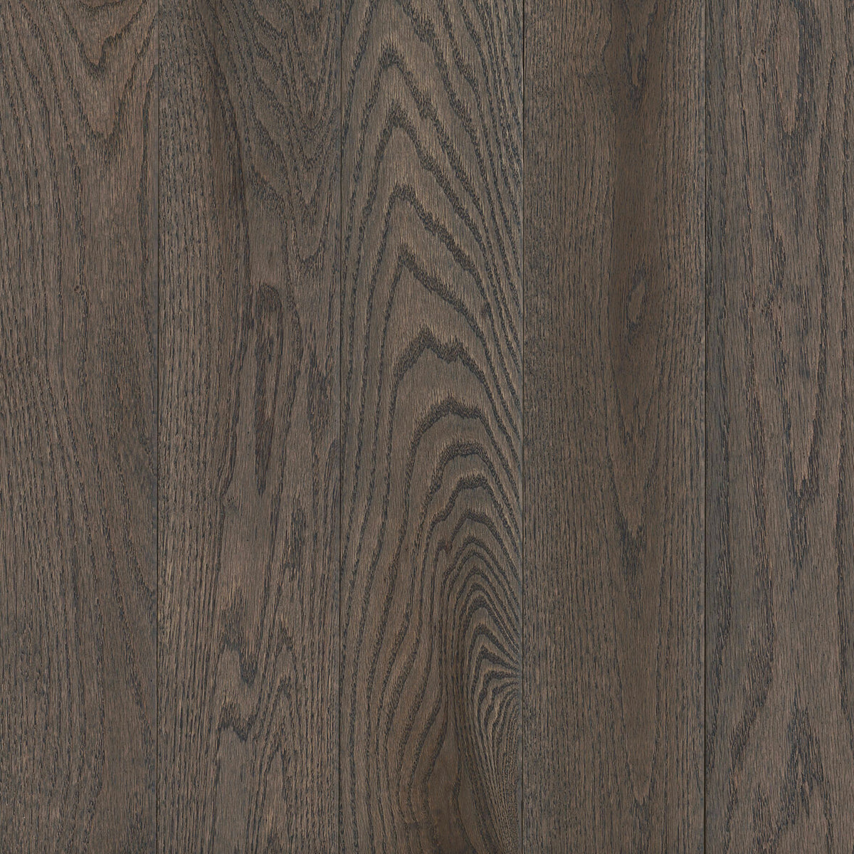 Prime Harvest Red Oak Solid in Oceanside Gray 5" - High Gloss Hardwood