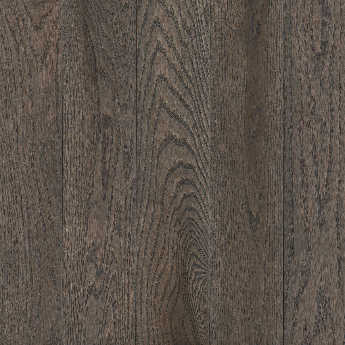 Prime Harvest Red Oak Solid in Oceanside Gray 5" - Low Gloss Hardwood