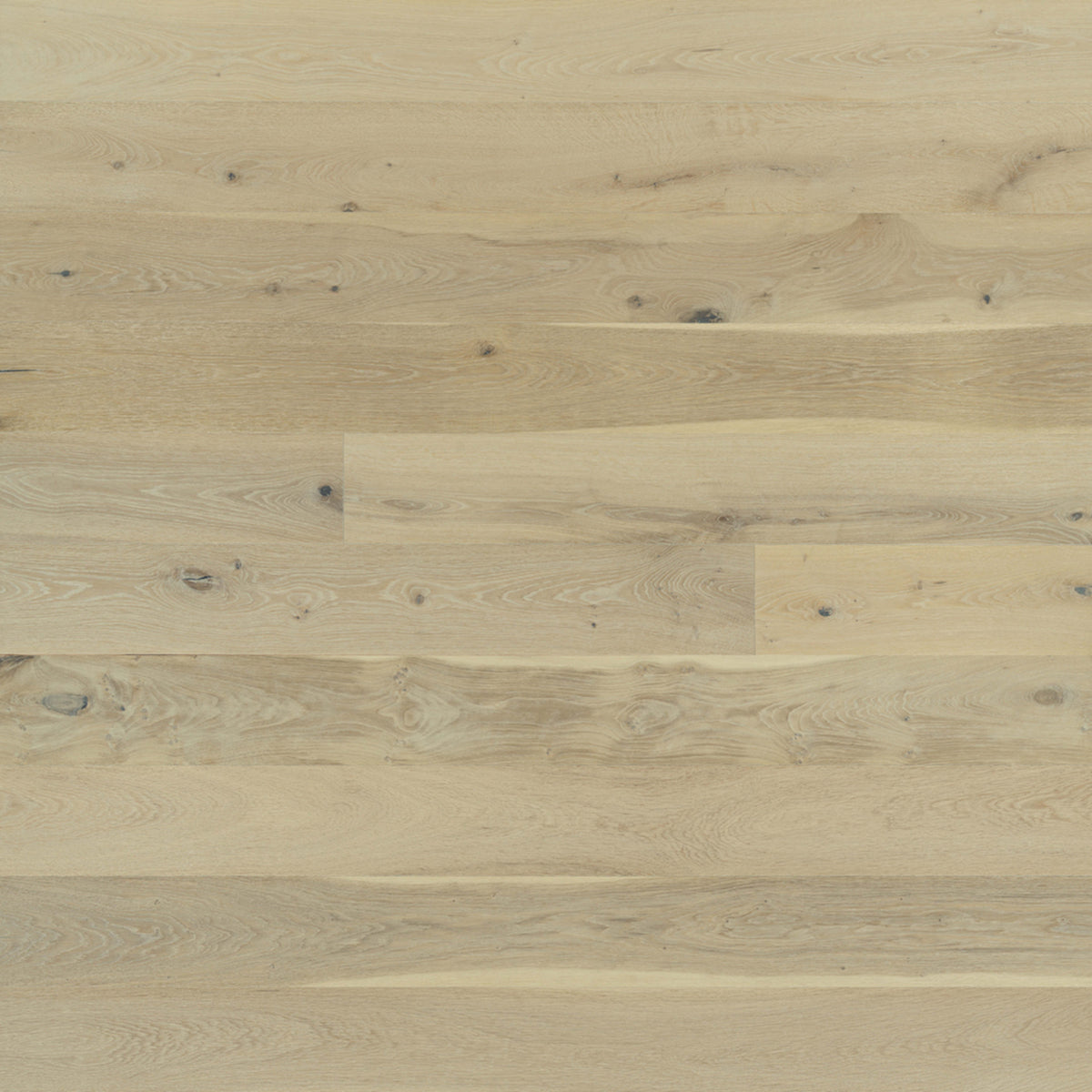 Alta Vista Hardwood in Cardiff Hardwood