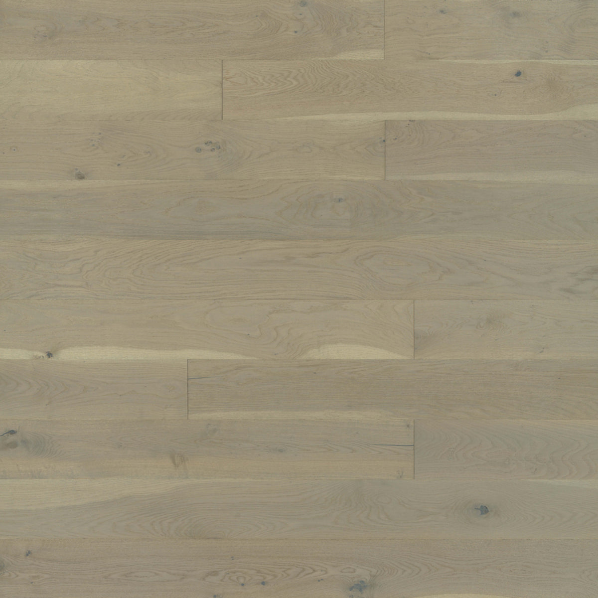 Alta Vista Hardwood in Santa Monica Hardwood