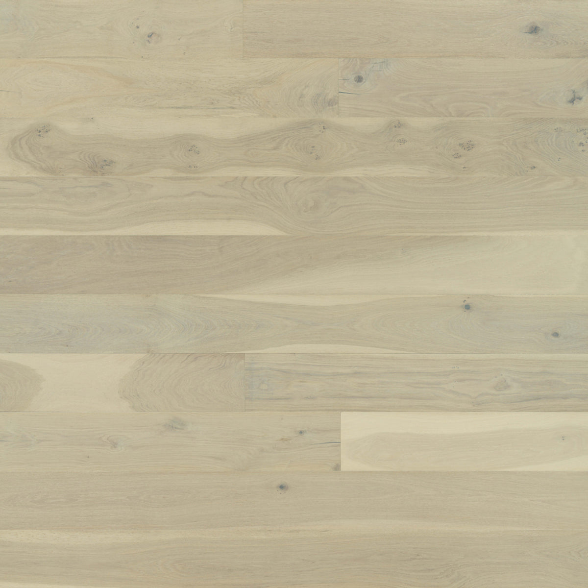 Alta Vista Hardwood in Venice Hardwood