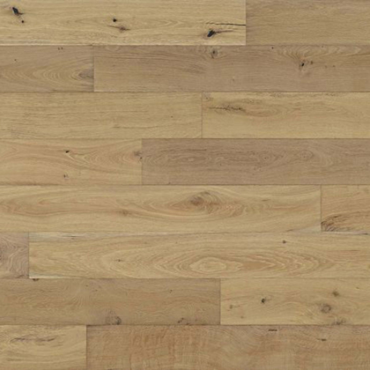Shores in Aruba Hardwood