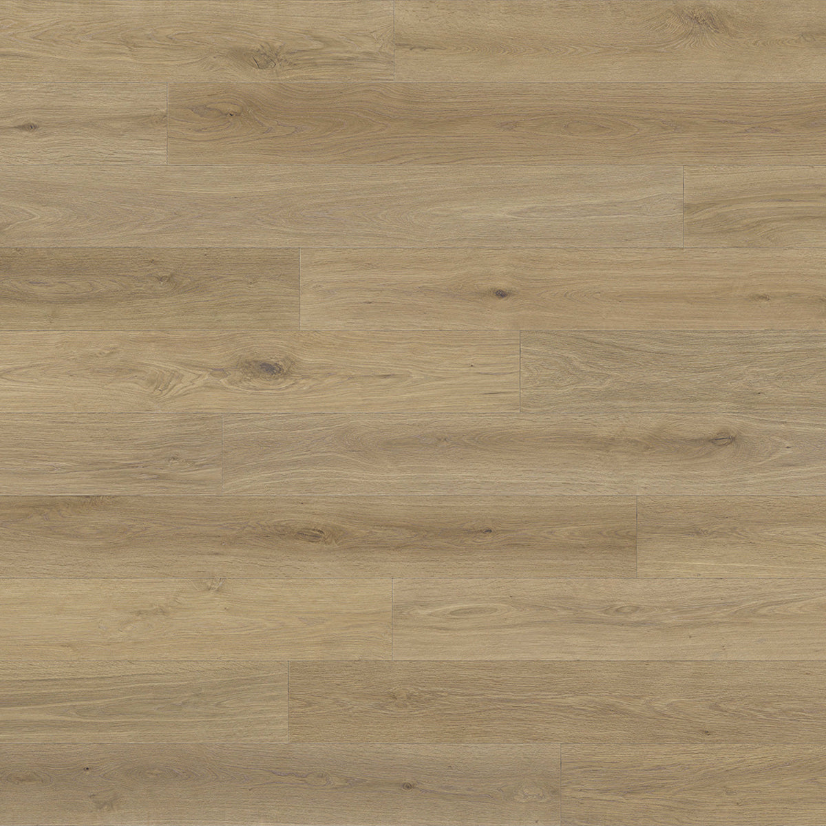 Renaissance in Avelino Hardwood