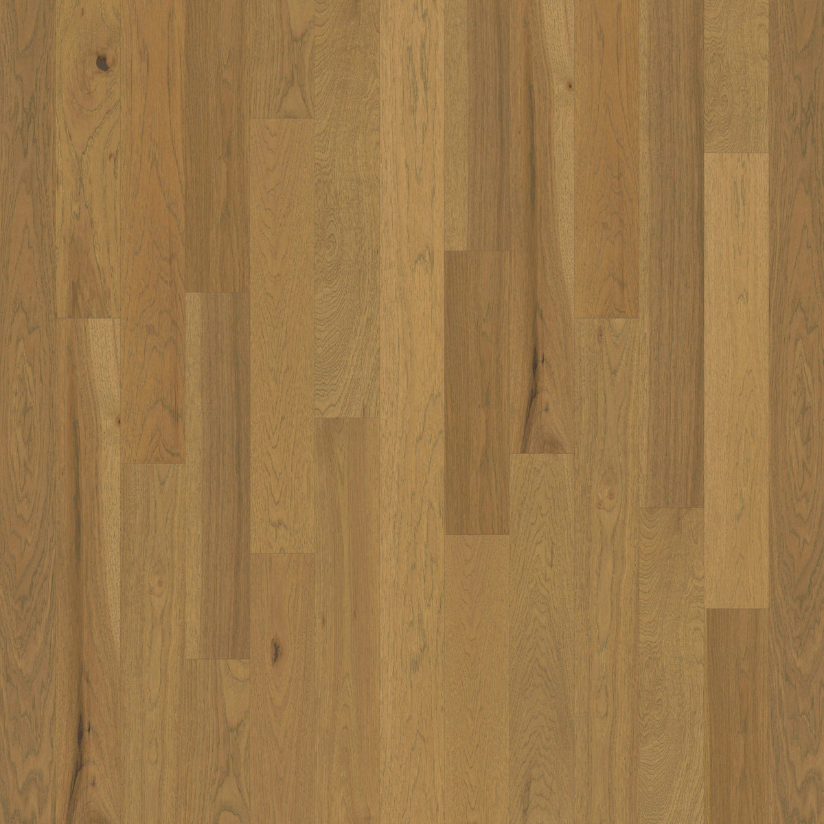 Backlands in Cibolo Hardwood