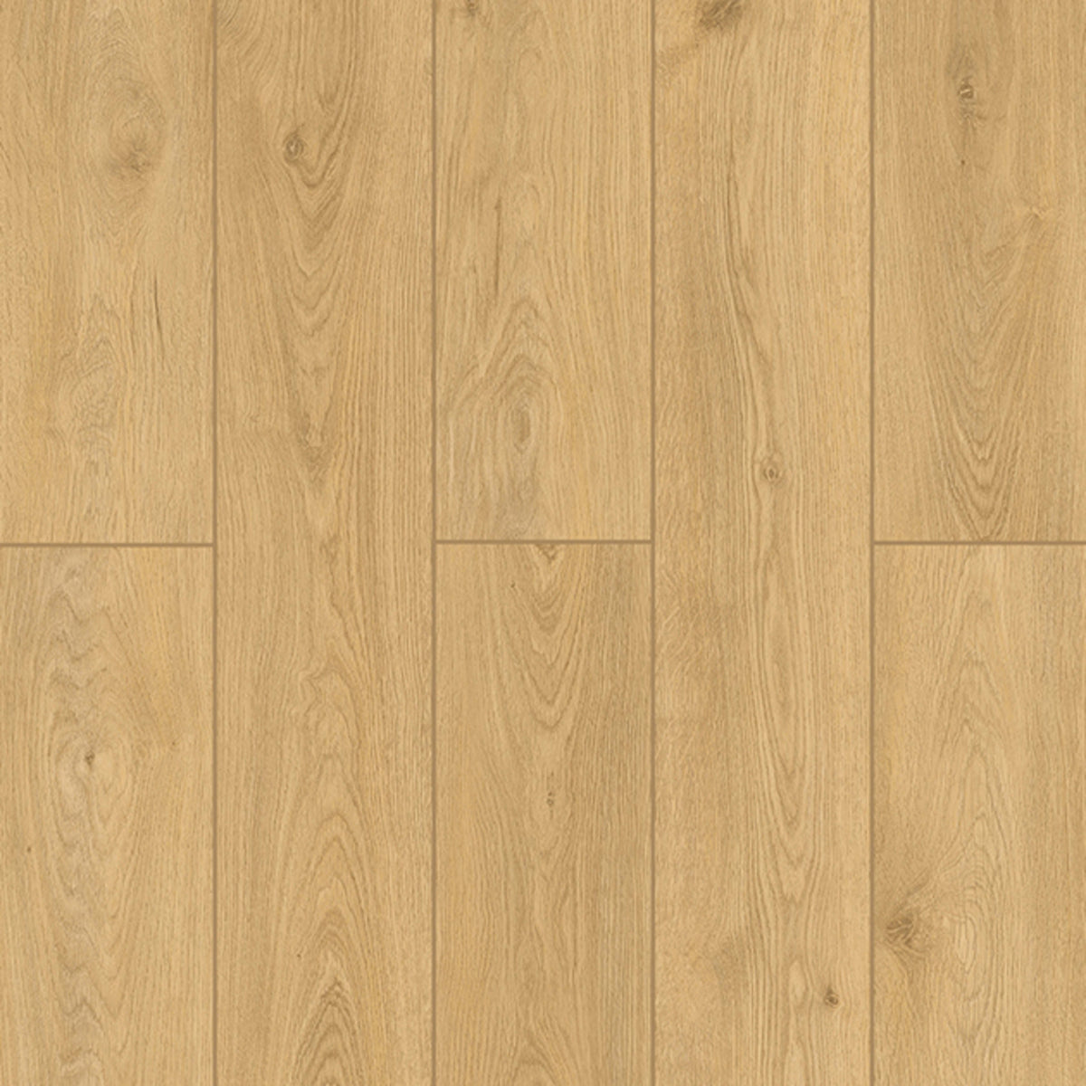 Bambino Collection in Timber Glaze Luxury Vinyl