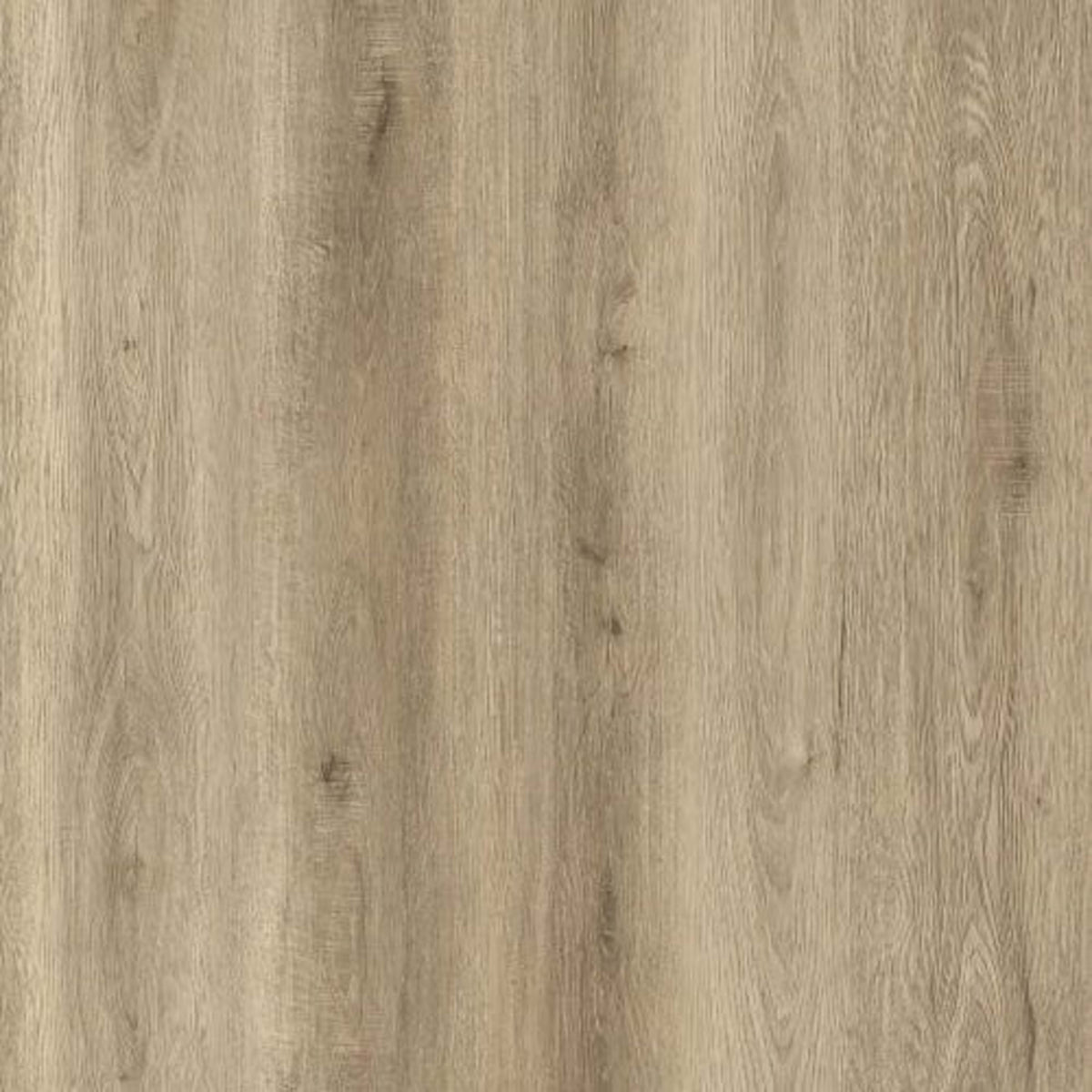 Bambino Collection in Dolce Luxury Vinyl