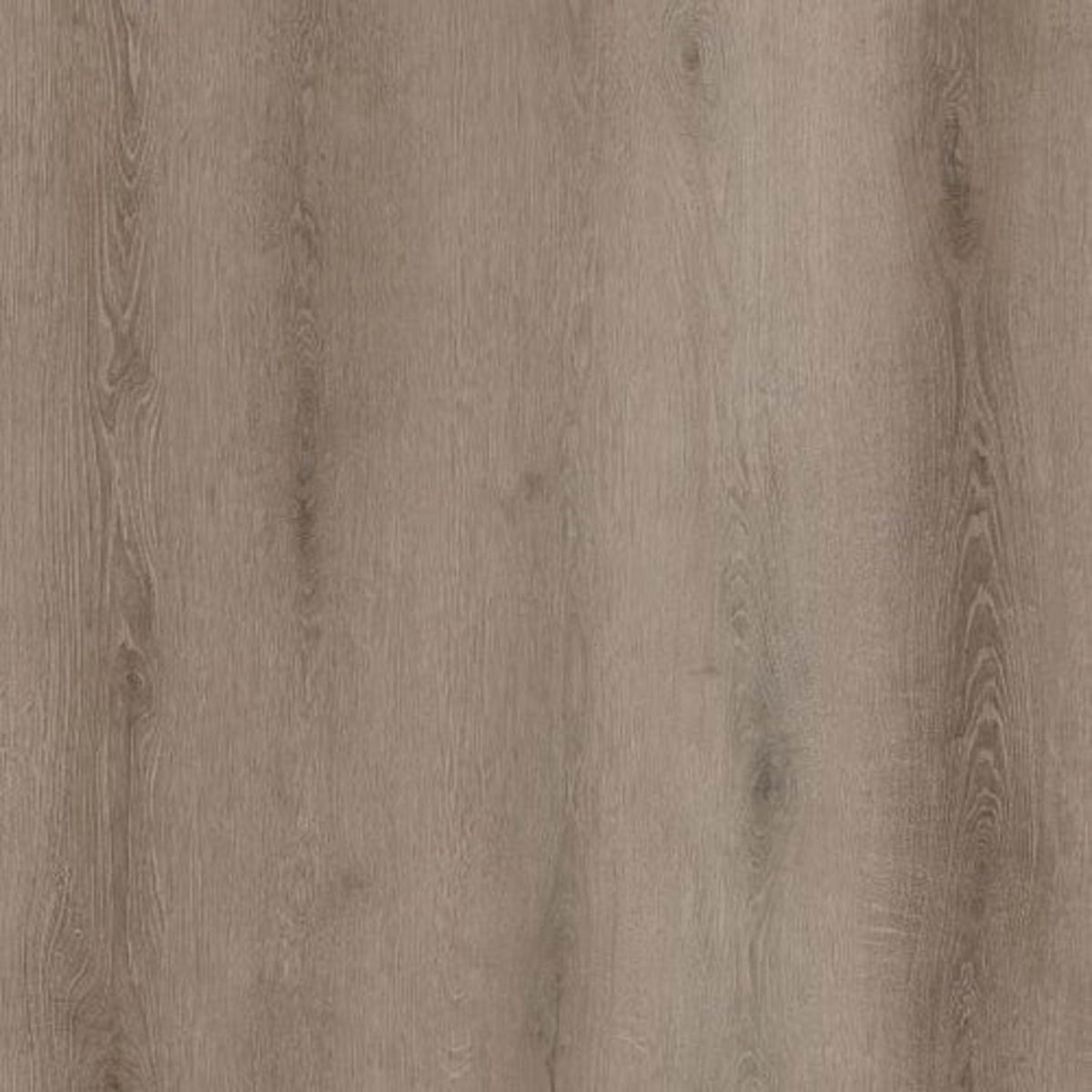 Bambino Collection in Coffee Feather Luxury Vinyl