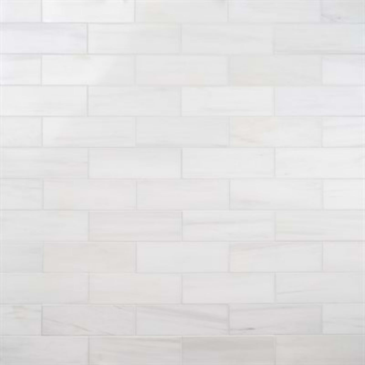 Bianco Dolomite in Premium 4x12 Natural Stone