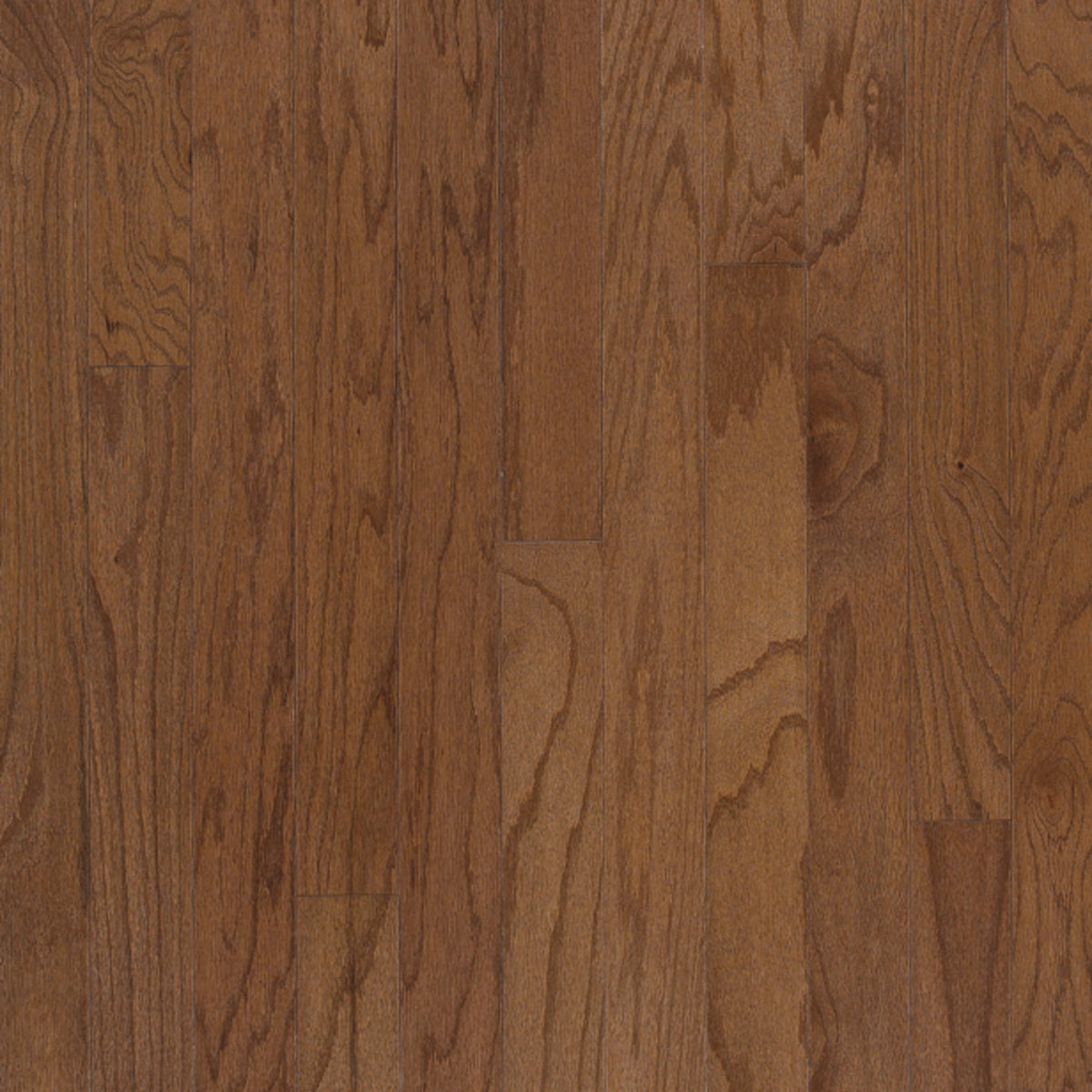 Beckford Northern Red Oak Engineered in Bark 3 Hardwood