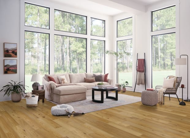 Dogwood Pro Hemlock Engineered in Native Natural 6-1/2" | Bruce