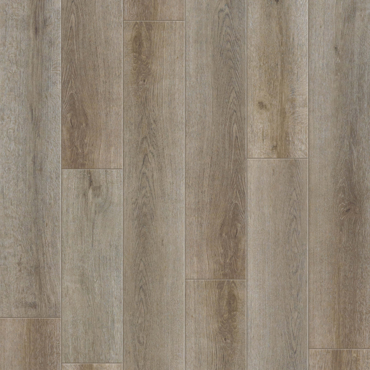 Bella Vista in Lorena Laminate