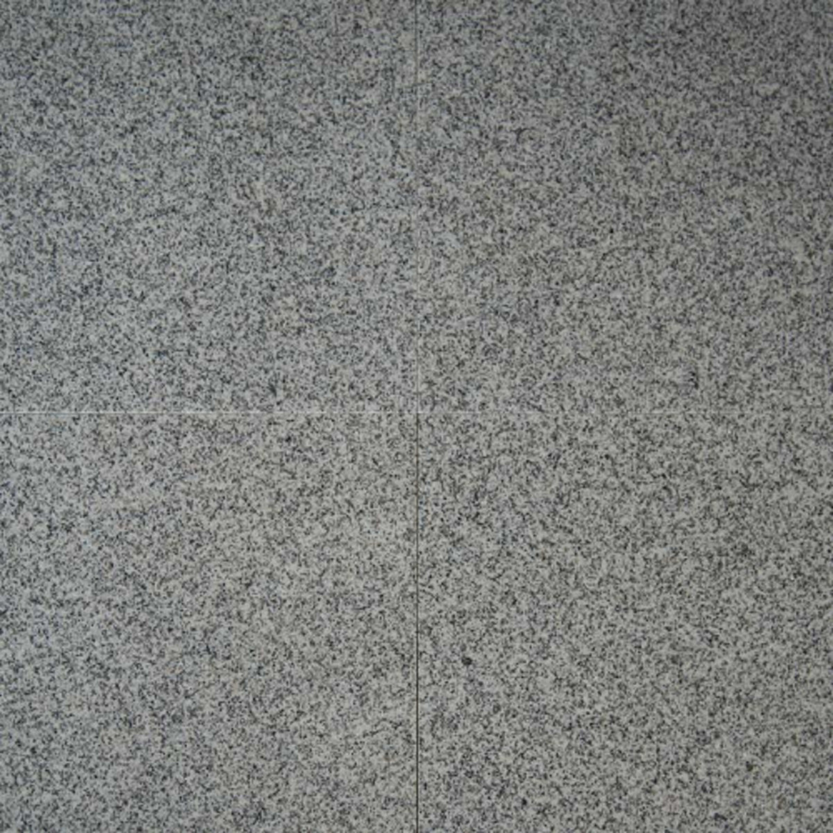 Bianco Catalina in Bianco Catalina - 12x12 Natural Stone