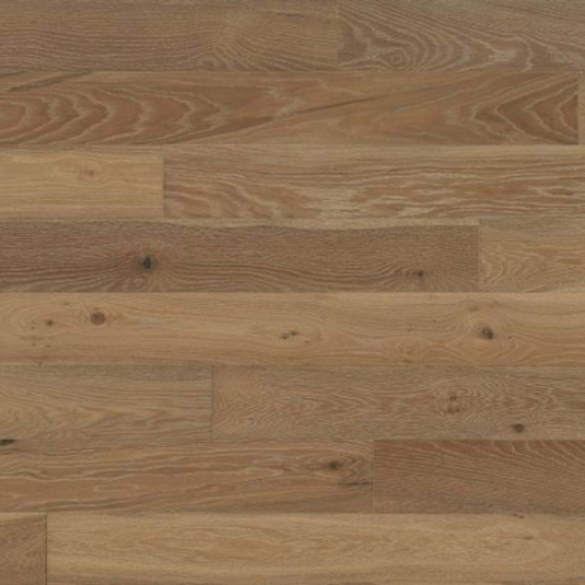 Shores in Bonaire Hardwood