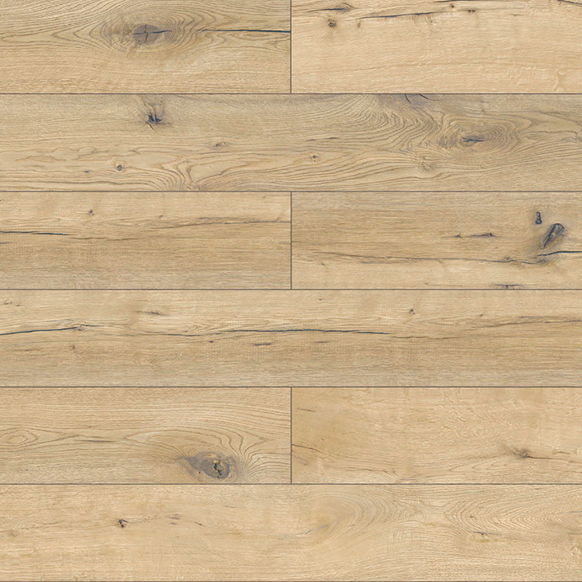 Visions in Buckthorn Laminate