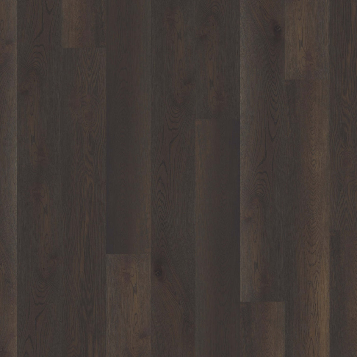 Global Winds in Buran Hardwood