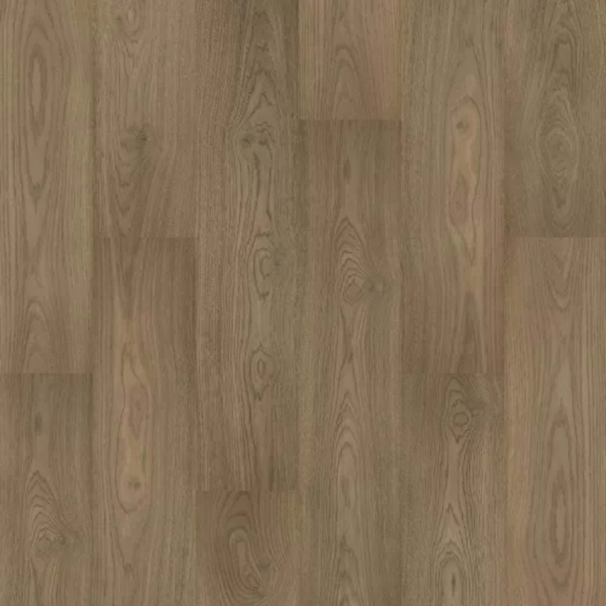 Eden Ranch in Clydesdale Hickory Laminate