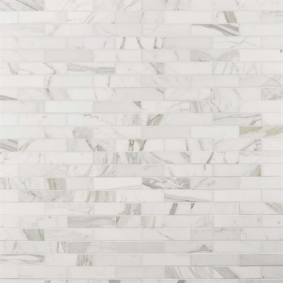 Calacatta in Calacatta Gold Honed 2x8 Natural Stone