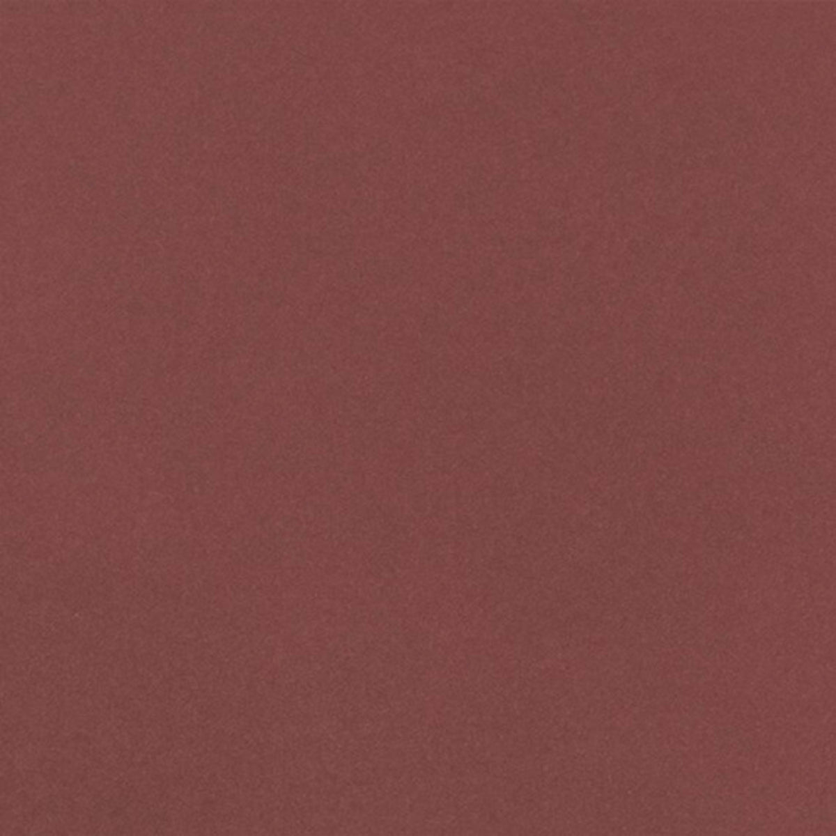 Color Story Floor in Matte Passion-12x24 Tile