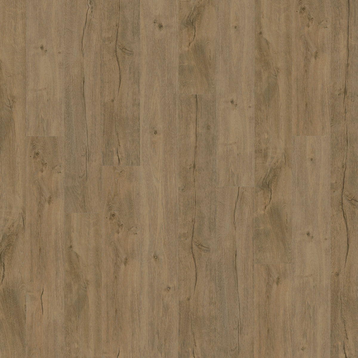 Alara Plus in Sugarloaf Luxury Vinyl
