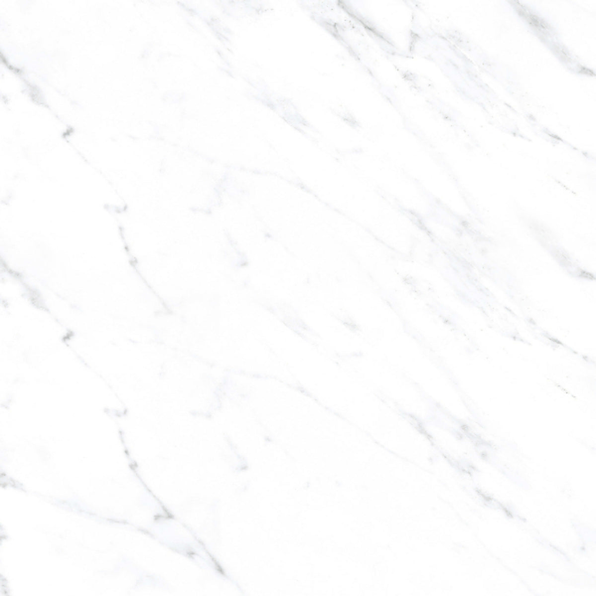Calacatta White in White - 2x2 Tile