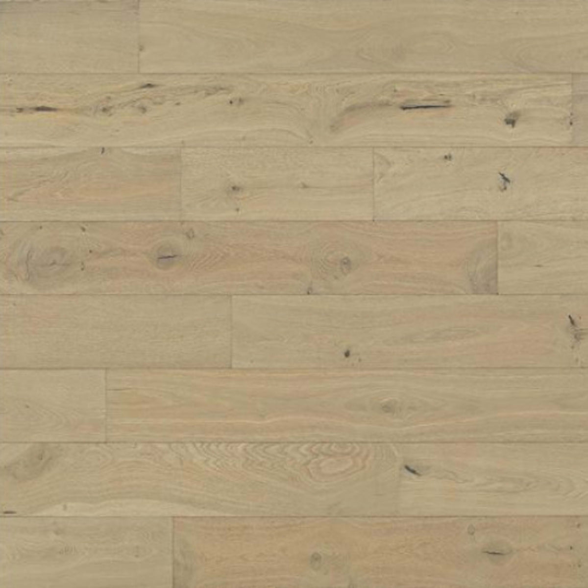 Shores in Cayman Hardwood