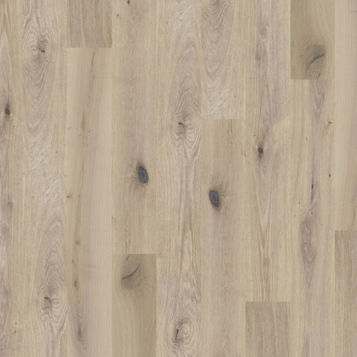 Global Winds in Chinook Hardwood