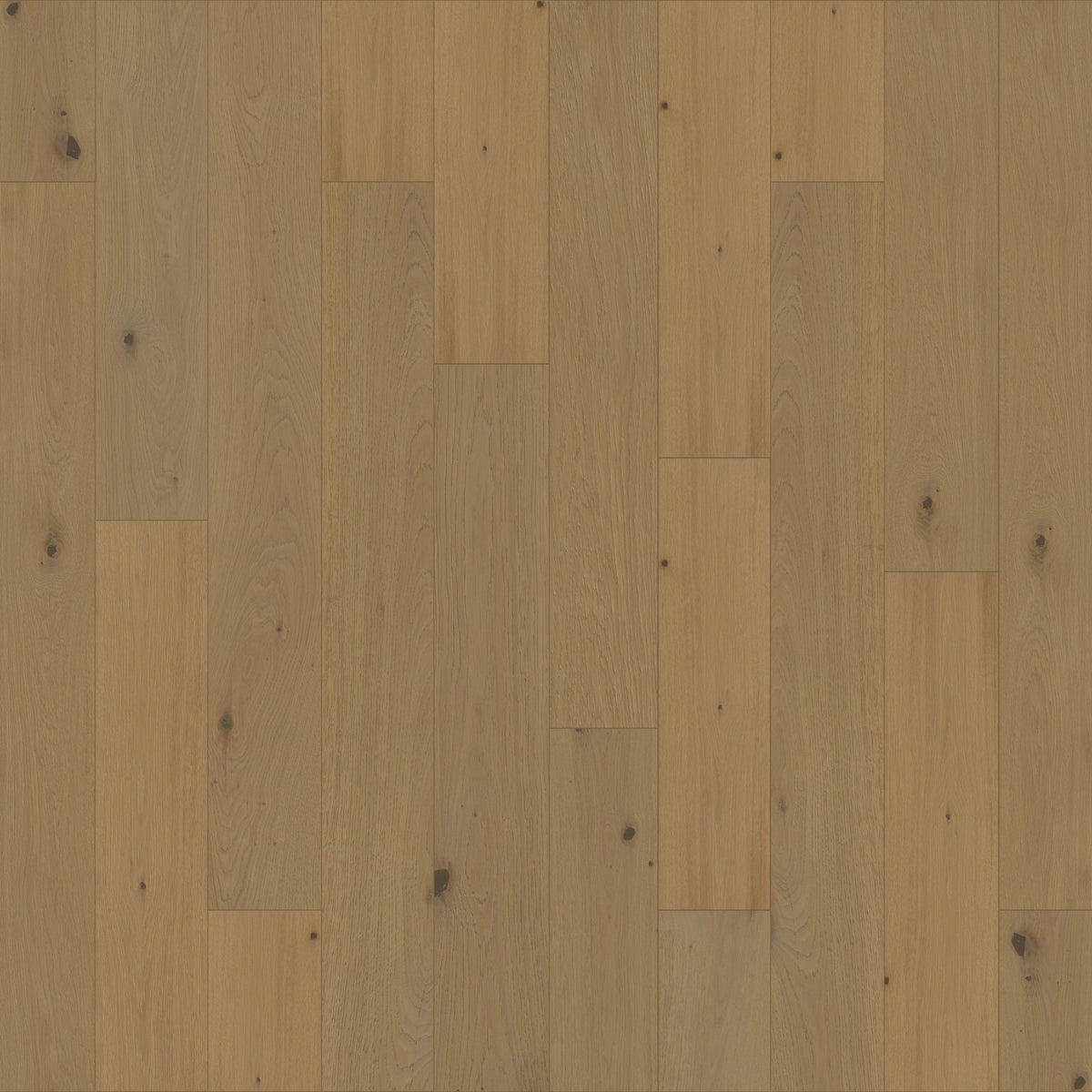 Costa Brava in Andora Hardwood