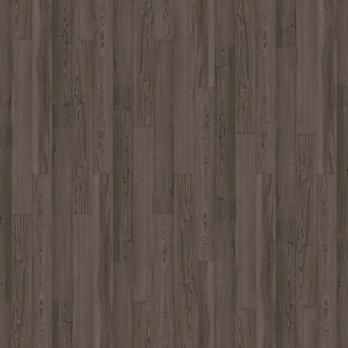 Innovious - Curio in Cypress Pine Luxury Vinyl