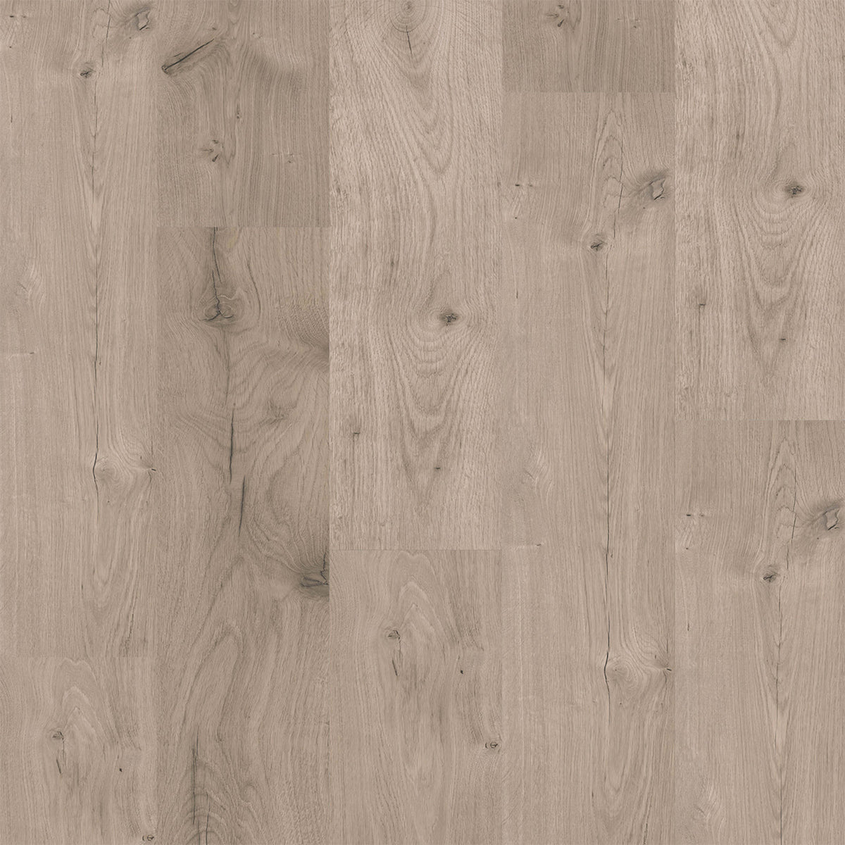 PureGrain Renew - Riverwood in Borneo Laminate