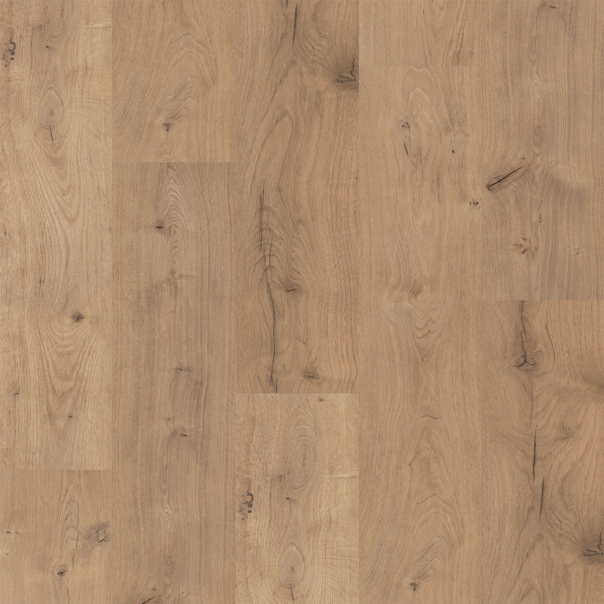 PureGrain Renew - Riverwood in Windsor Mills Laminate
