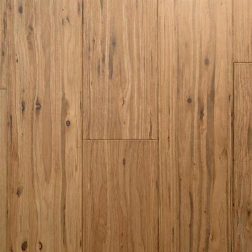Solid Eucalyptus in Champagne Hardwood