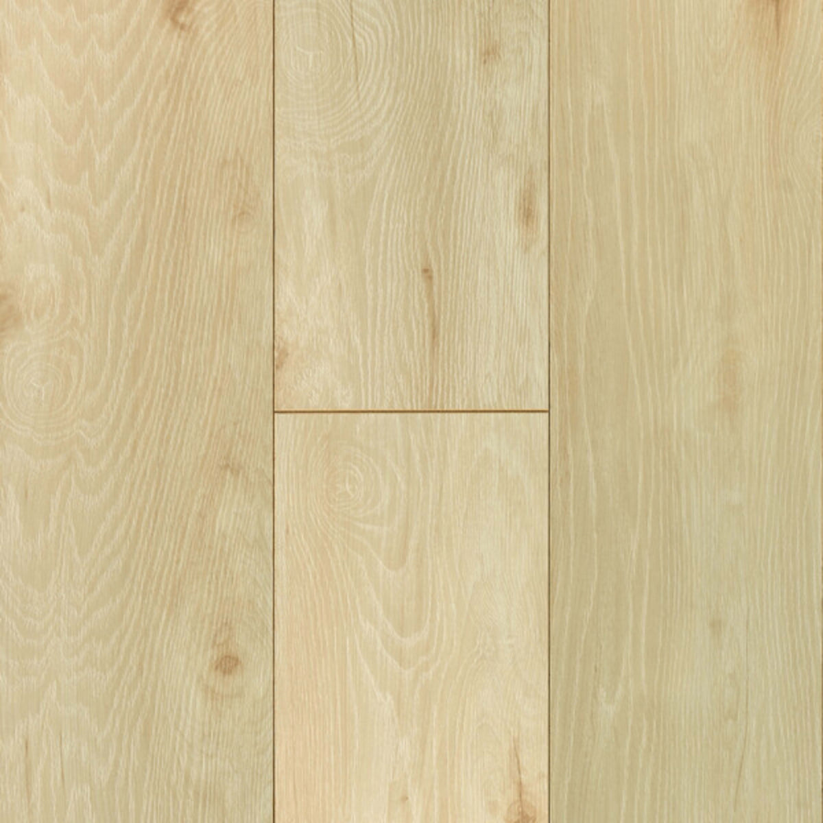 Established Style in Distant Beach 8.03" Laminate