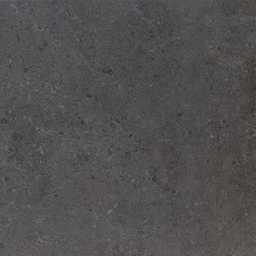 Dignitary in Governor Black 12x24 Tile