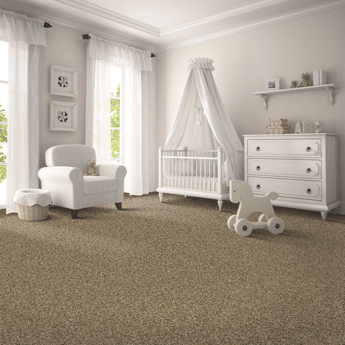 Darwin II in Canvas Carpet