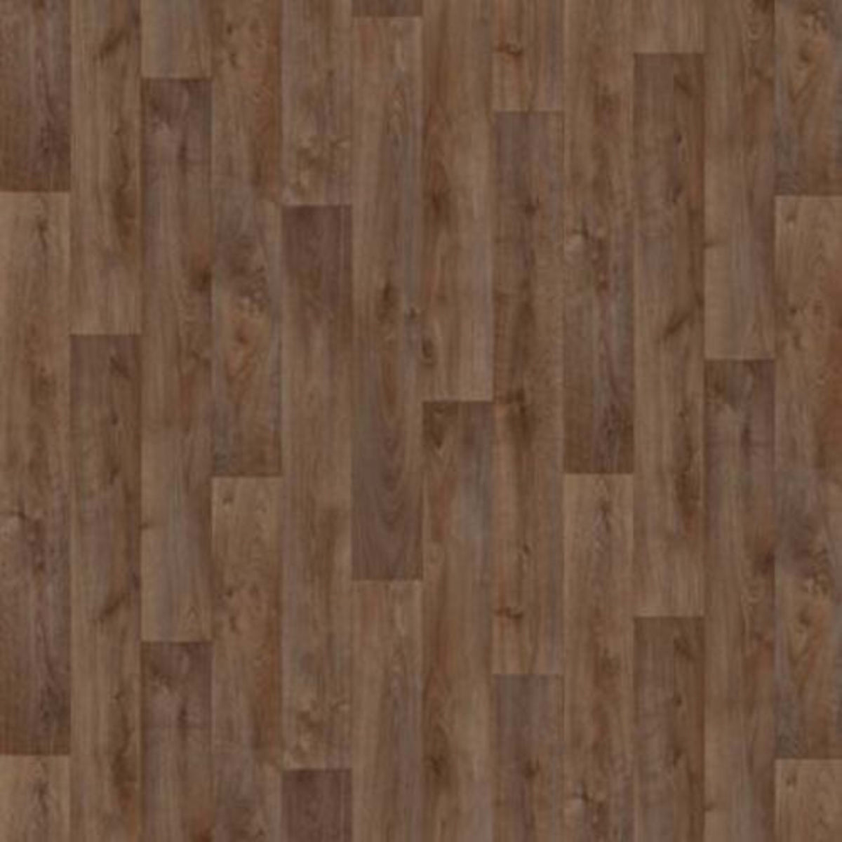 Hampton Heights in Caravel Brown Vinyl Sheet Goods