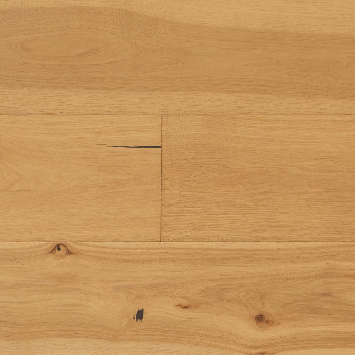 English Forest Collection in Hickory Angelina Hardwood