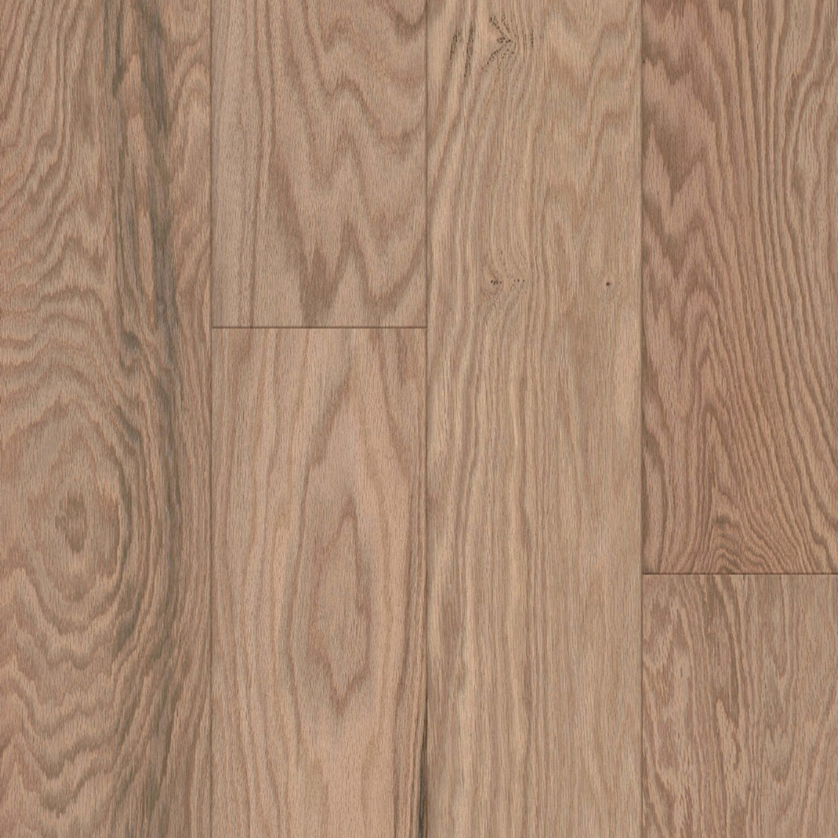 Prime Harvest Northern Red Oak Engineered in Tan 6.5" Hardwood