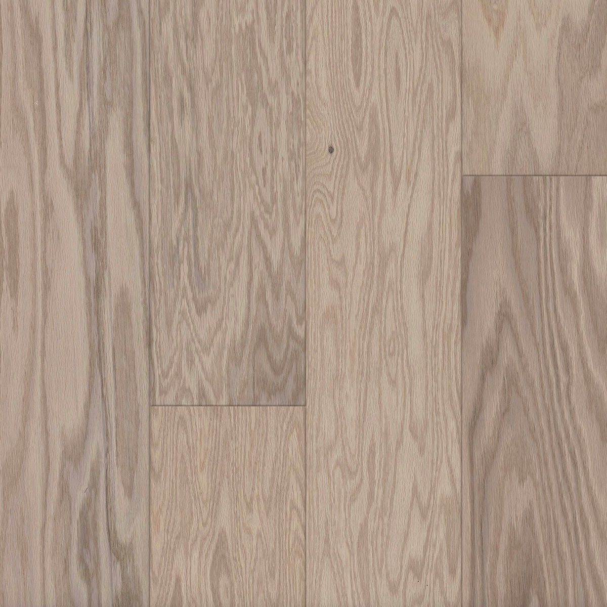Prime Harvest Northern Red Oak Engineered in Light Taupe 6.5" Hardwood