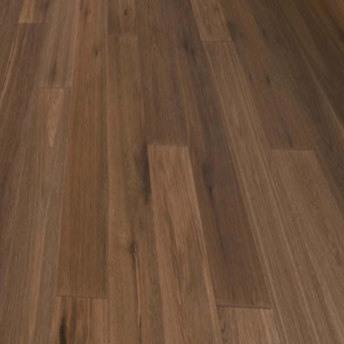 Essence Oak in Willowbrook Hardwood