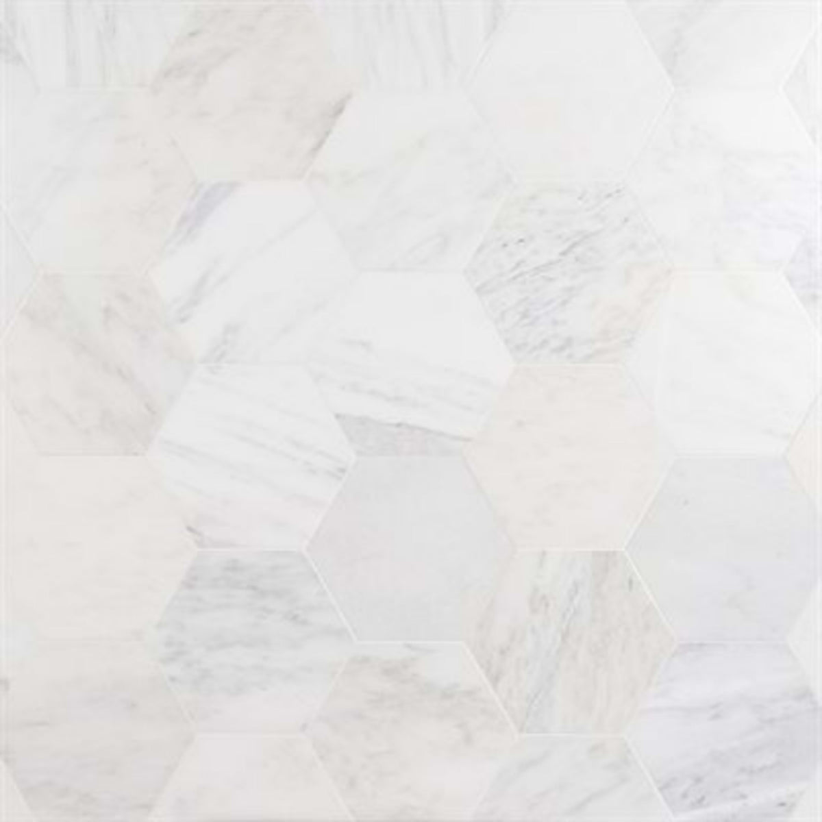 Epoch in Asian Statuary 10'' Hexagon Honed Natural Stone