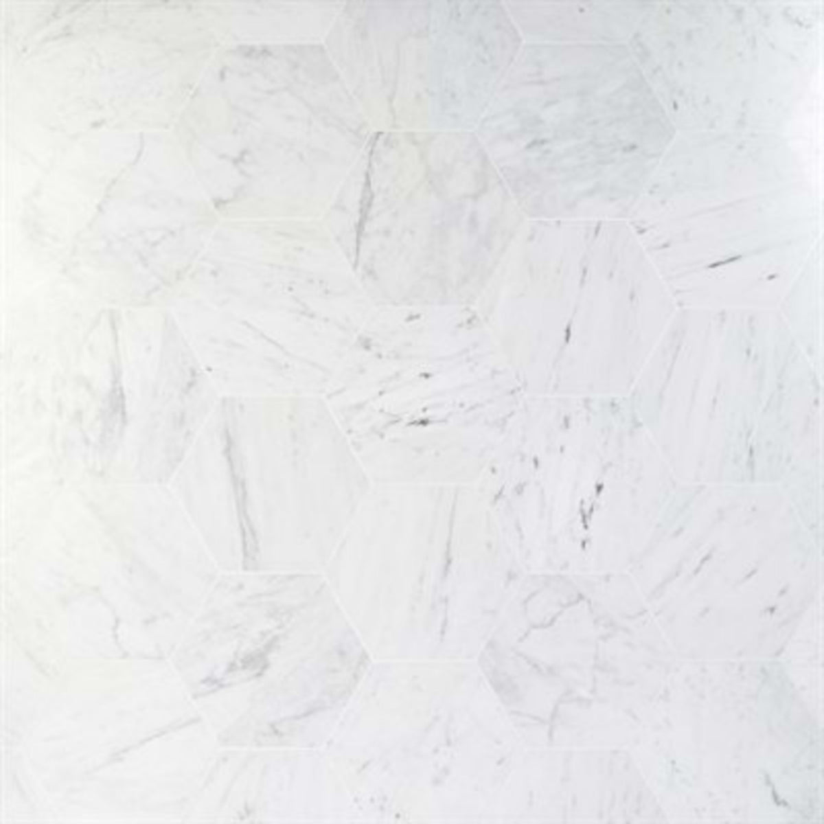 Epoch in White Carrara 10'' Hexagon Honed Natural Stone